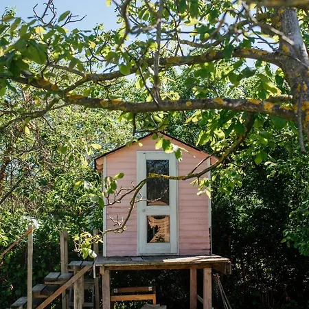 Kali44 Vendeghaz Révfülöp